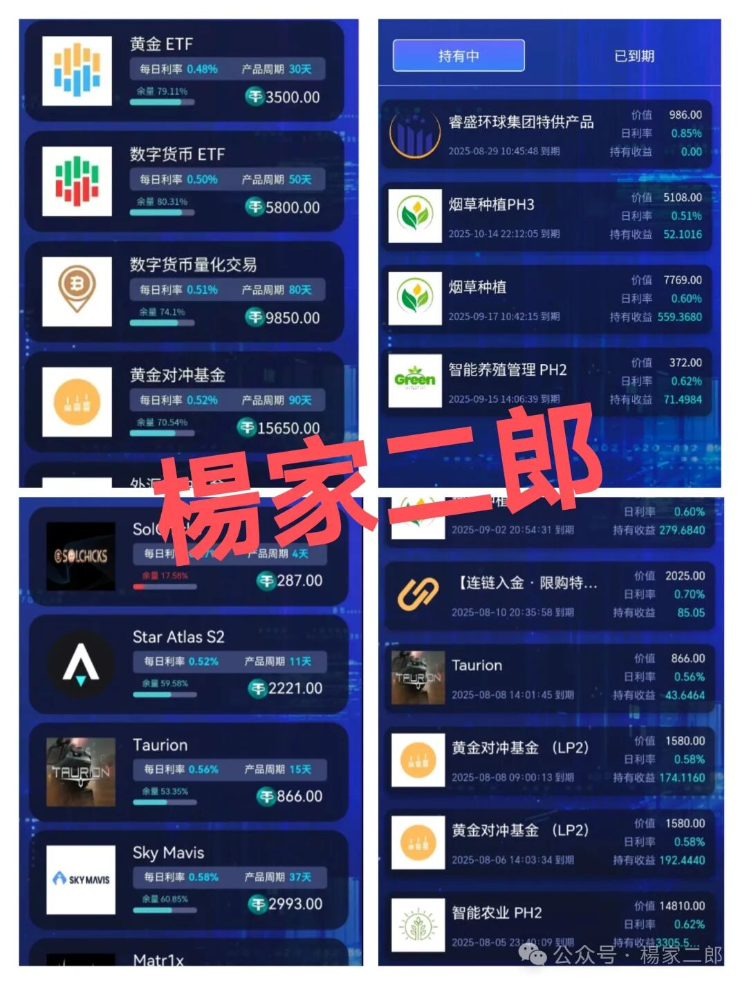 高度风险预警:睿盛环球集团Golden Link（博瑞通)已大量单割，下一个被割的会不会是你？