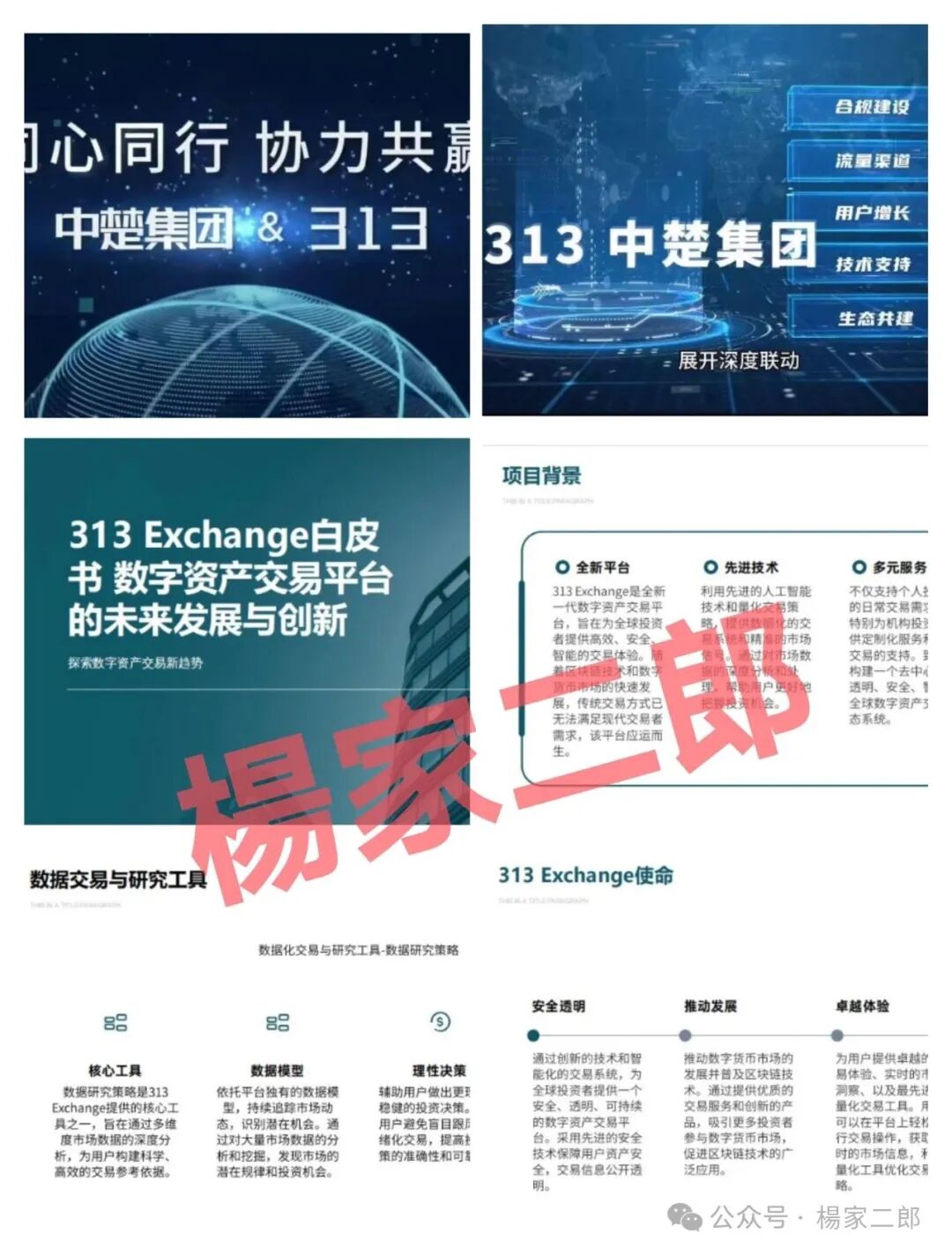 资金盘骗局【中楚集团313交易所】已拔网线彻底凉凉！