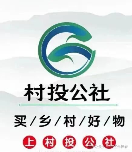 暴雷【村投公社】年化270%的乡村振兴骗局，谁在收割普通人的养老钱？