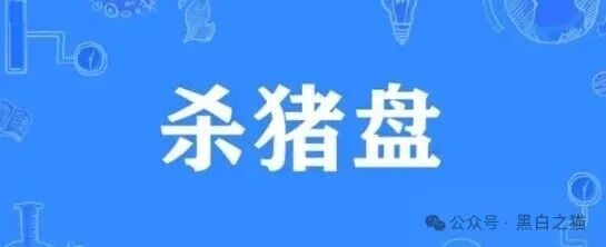 电诈团伙伪冒“TCV资本”，通过话术精准诱惑孤单女性投资，被围猎者还飘飘欲